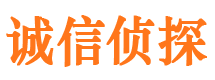 虞城外遇调查取证